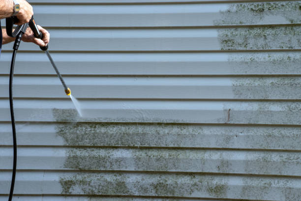 Best Siding for Multi-Family Homes  in Jesup, GA