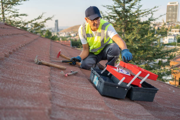 Best Siding for New Construction  in Jesup, GA