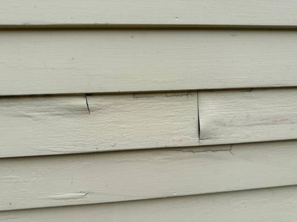 Best Residential Vinyl Siding Installation  in Jesup, GA